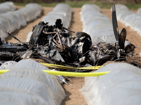 СМИ назвали основную версию крушения самолета Филевой
