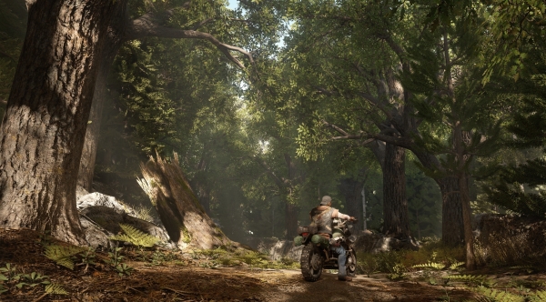 Недостаточно хороша — критики оценили Days Gone