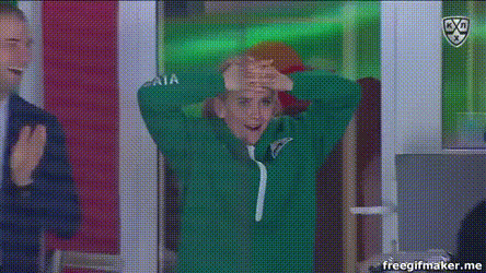 Это за них тащит Метсола. Семья лучшего вратаря КХЛ