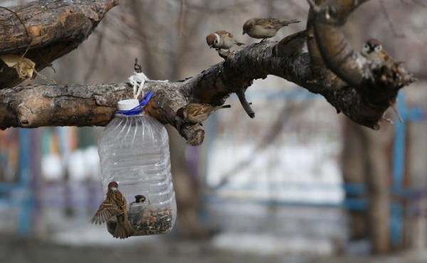 Новосибирск встречает весну-2019