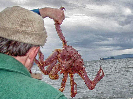 В Госдуме обсудили риски перехода на новую систему вылова водных биоресурсов