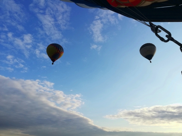 В парке Победы на 9 Мая покажут шоу парашютистов и планеристов