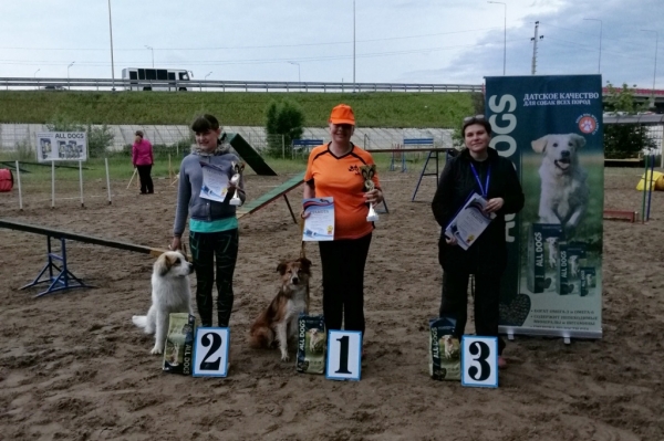 Всероссийский турнир по аджилити состоялся в донской столице
