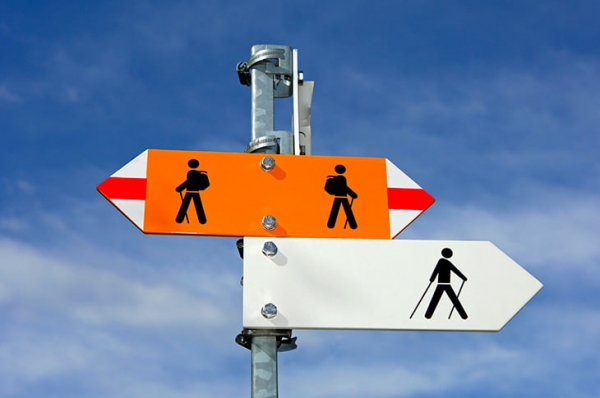 Скандинавская ходьба &ndash; модный фитнес: в два раза эффективнее бега, работает 90% мышц