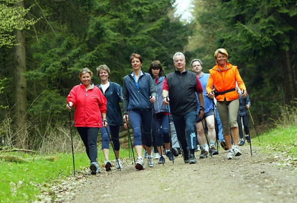Скандинавская ходьба &ndash; модный фитнес: в два раза эффективнее бега, работает 90% мышц
