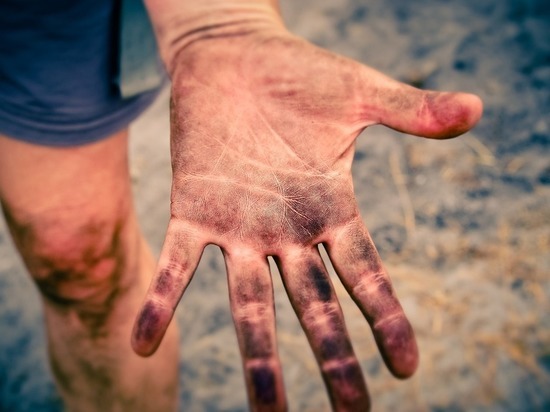 В Красноярском крае завуч сняла отпечатки пальцев у учеников