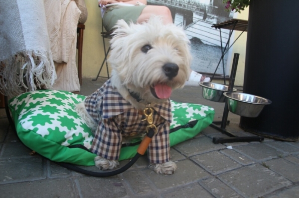 В Омске в самом разгаре «Ночь музыки»