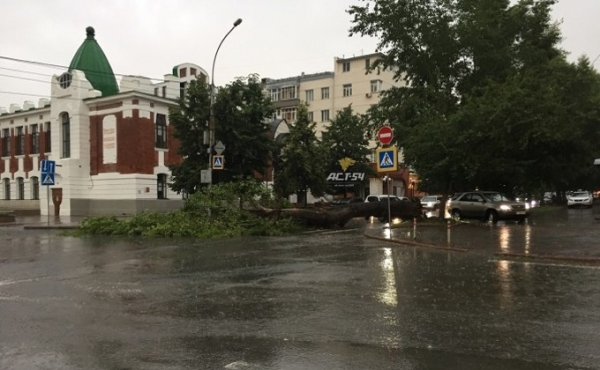 Буря и ливень натворили дел в Новосибирске