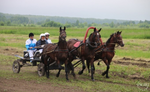 Скачки на строптивых лошадях устроили черепановцы 