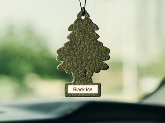 Освежители воздуха объявлены опасными для кошек