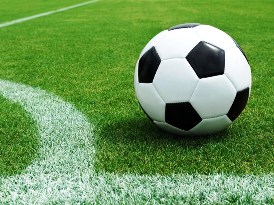 Новое поле для воронежского &laquo;Факела&raquo; обойдется в 17,8 млн рублей