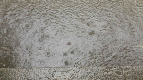 Буря и ливень натворили дел в Новосибирске