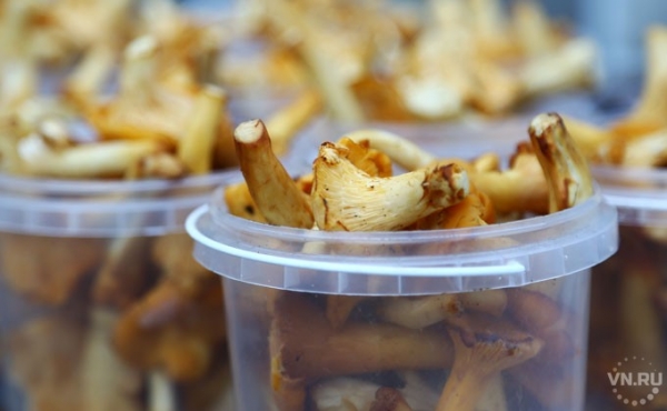 Как нельзя употреблять грибы, рассказали диетологи