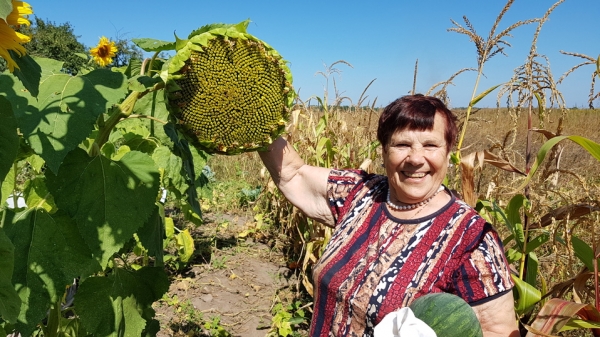 Премьера фильма «Однажды в Трубчевске» прошла среди грядок