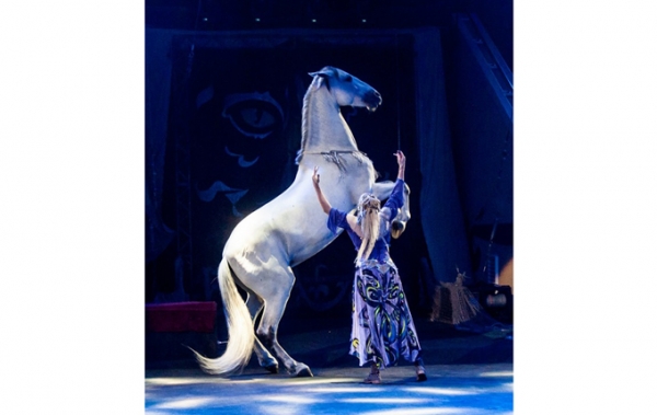 Новосибирский цирк представляет новое &laquo;Белое шоу&raquo;