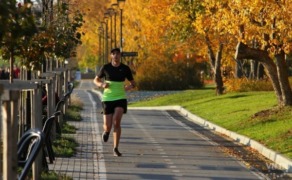 Погода 10-12 октября в Новосибирске: последние теплые выходные