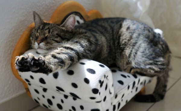 Как отдыхаем 4 ноября 2019 в День народного единства &ndash; список выходных