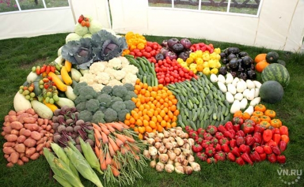 Рецепты заготовок на зиму – ТОП-5