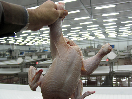 Диетолог объяснила, кому противопоказан куриный бульон