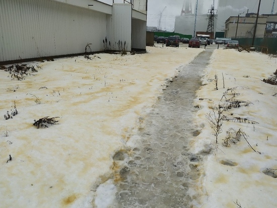 Жители Карелии пожаловались на желтый туман, убивающий птиц в полете