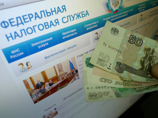 Эксперт оценил новый налог на самозанятых: "Визгу больше, чем шерсти"