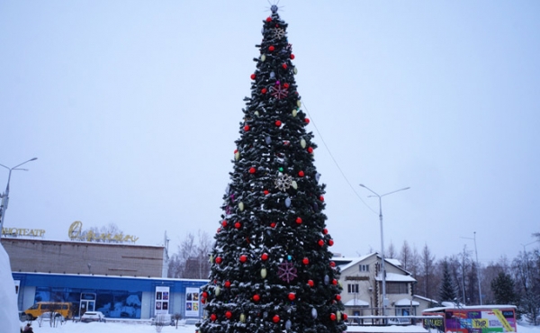 Ледовый городок за 1,5 миллиона появится в Бердске к Новому году