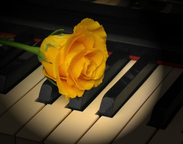 В Севастополе учитель умер во время урока