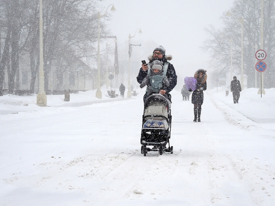 На Москву перед Новым годом обрушится метель