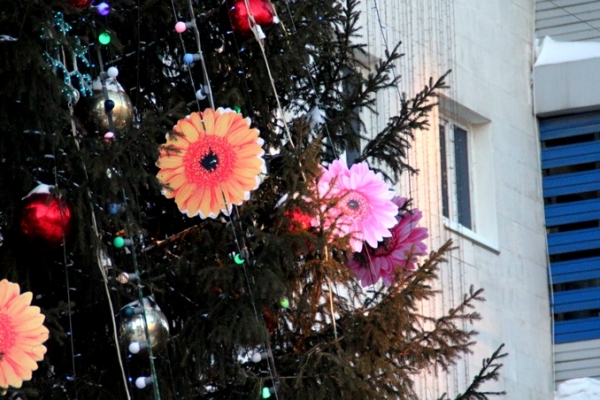 Омичам покажут гигантский ароматизатор &laquo;елочка&raquo; и фанерную елку