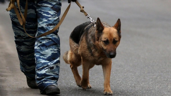 В Москве и Санкт-Петербурге эвакуировали суды из-за угрозы взрыва