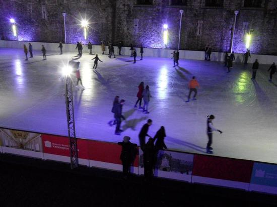 Вице-мэру Новосибирска понравился каток в форме пениса: "искусство должно возбуждать"