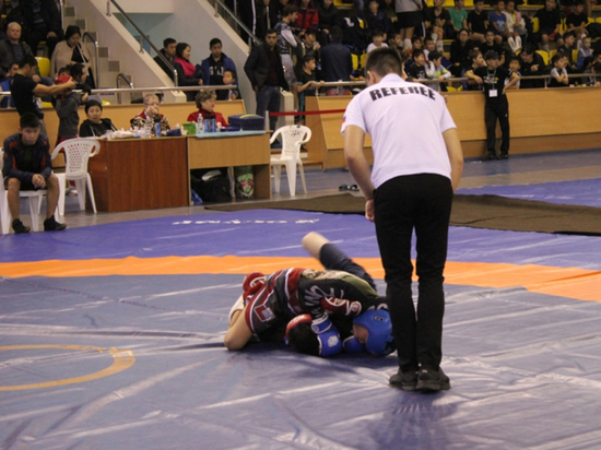 В калмыцкой столице соревновались юные каратисты юга России