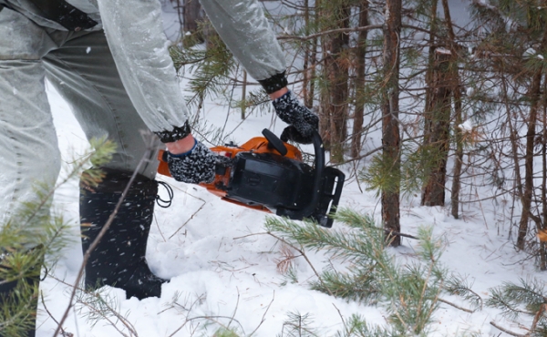 Цены на новогодние елки не меняются шесть лет в Новосибирске