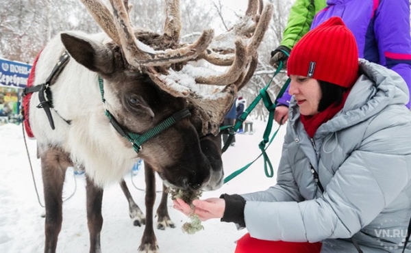 Развлечения в парках Новосибирска на зимних каникулах 2020