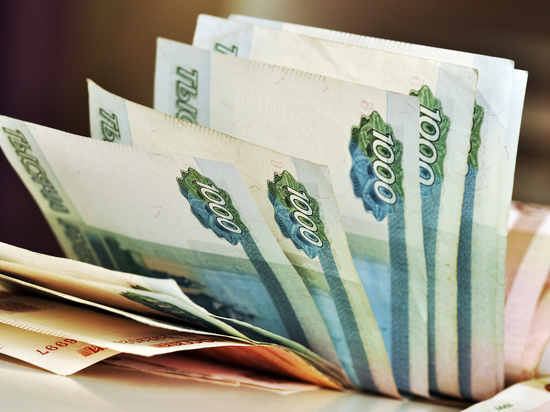 Эксперт жестко оценил предложение уравнять зарплаты депутатов и простых людей