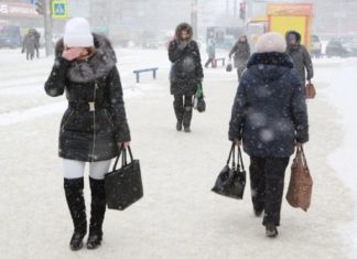 15% месячной нормы осадков выпадет за один день в Новосибирске