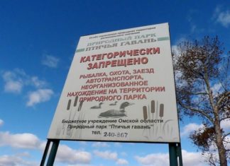 «Птичью гавань» хотят отдать под опен-эйры