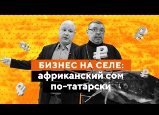 Бизнес на селе: приключения африканского сома в Рыбной Слободе
