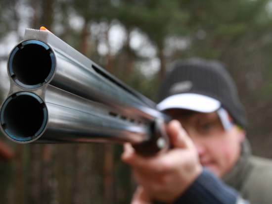 Москвич прострелил дверь соседки и ранил ее собаку