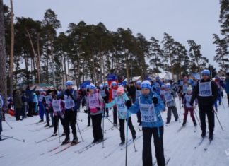 Лыжники создали пробку в лесу под Бердском на «Лыжне России-2020»