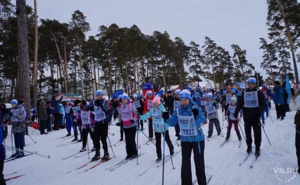 Лыжники создали пробку в лесу под Бердском на &laquo;Лыжне России-2020&raquo;