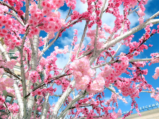 Синоптики заявили об аномально теплом марте по всей России