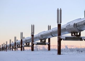 Пример превосходного партнерства