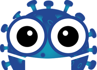 Как организовать работу бухгалтера в условиях карантина COVID-19.