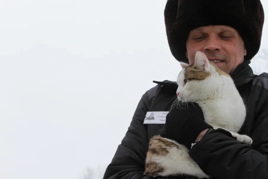 Кот в законе &ndash; тюремные котики в &laquo;почете и уважухе&raquo;