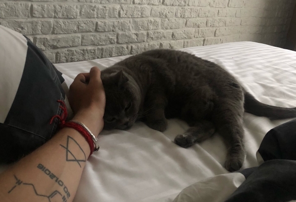 Метафизический разговор с Сафиным: смерти нет, деньги &ndash; фантики, любовь &ndash; привидение. Но кошки &ndash; святое