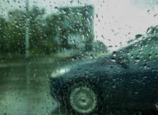 Зальет и потеплеет: прогноз на апрель 2020 в Новосибирске