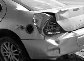 В Москве из-за упавшего дерева погиб мужчина