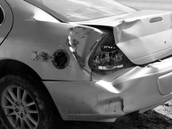 В Москве из-за упавшего дерева погиб мужчина