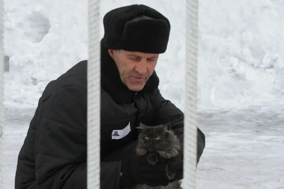 Кот в законе &ndash; тюремные котики в &laquo;почете и уважухе&raquo;